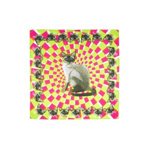 Pyewacket Knot Wrap