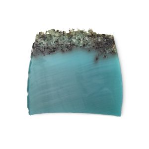 Sea Vegetable